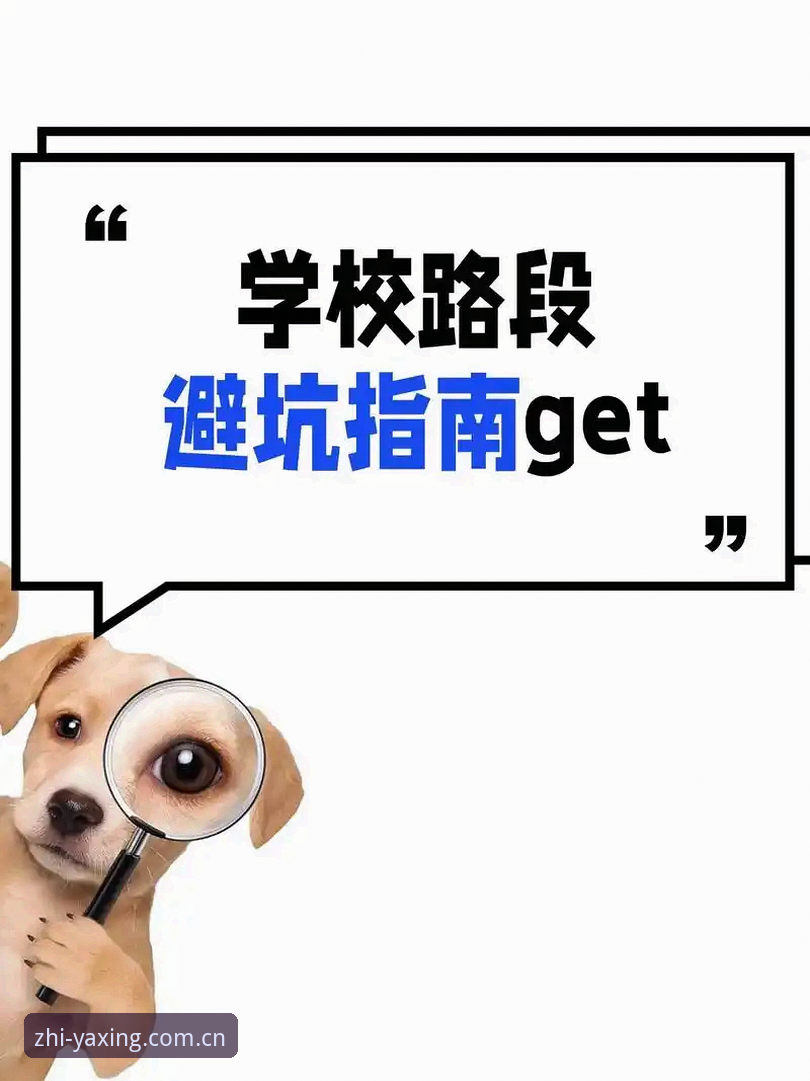如何避开"亚星下载"里的三个坑？一个实用避坑指南