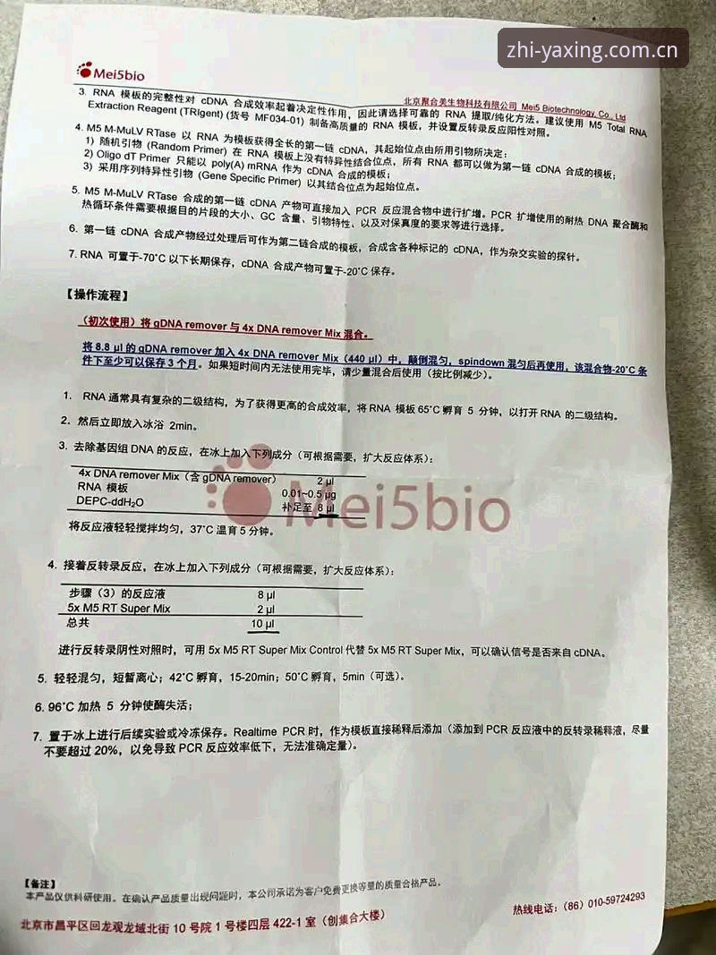 德米凯利斯执教莱比锡完整观察指南